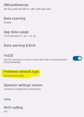 prefrred network type